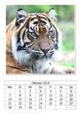 Oktober_Tiger.pdf